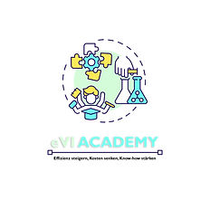 eVI ACADEMY Logo